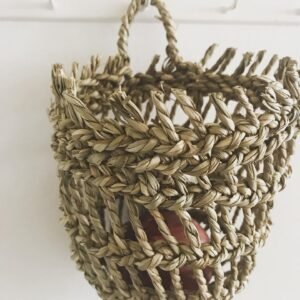 234557266_5046397078708148_3537102575812028798_n